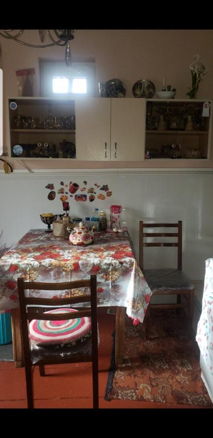 Guest House Dodo Kazbegi Exterior photo