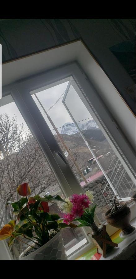 Guest House Dodo Kazbegi Exterior photo