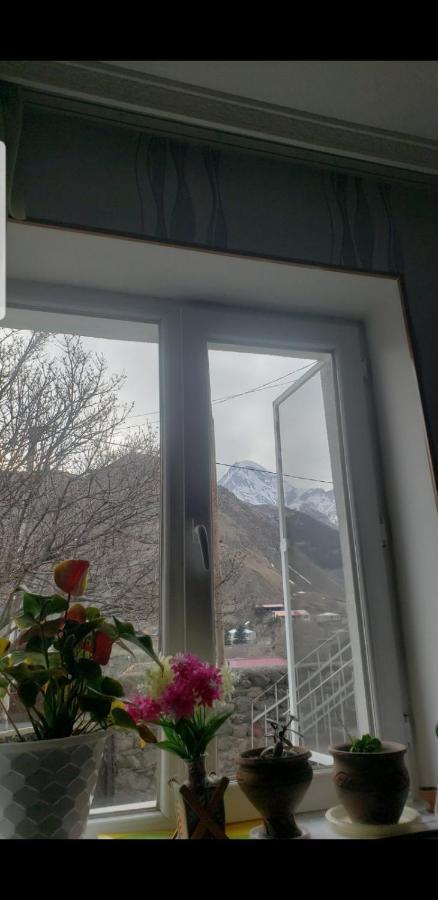 Guest House Dodo Kazbegi Exterior photo