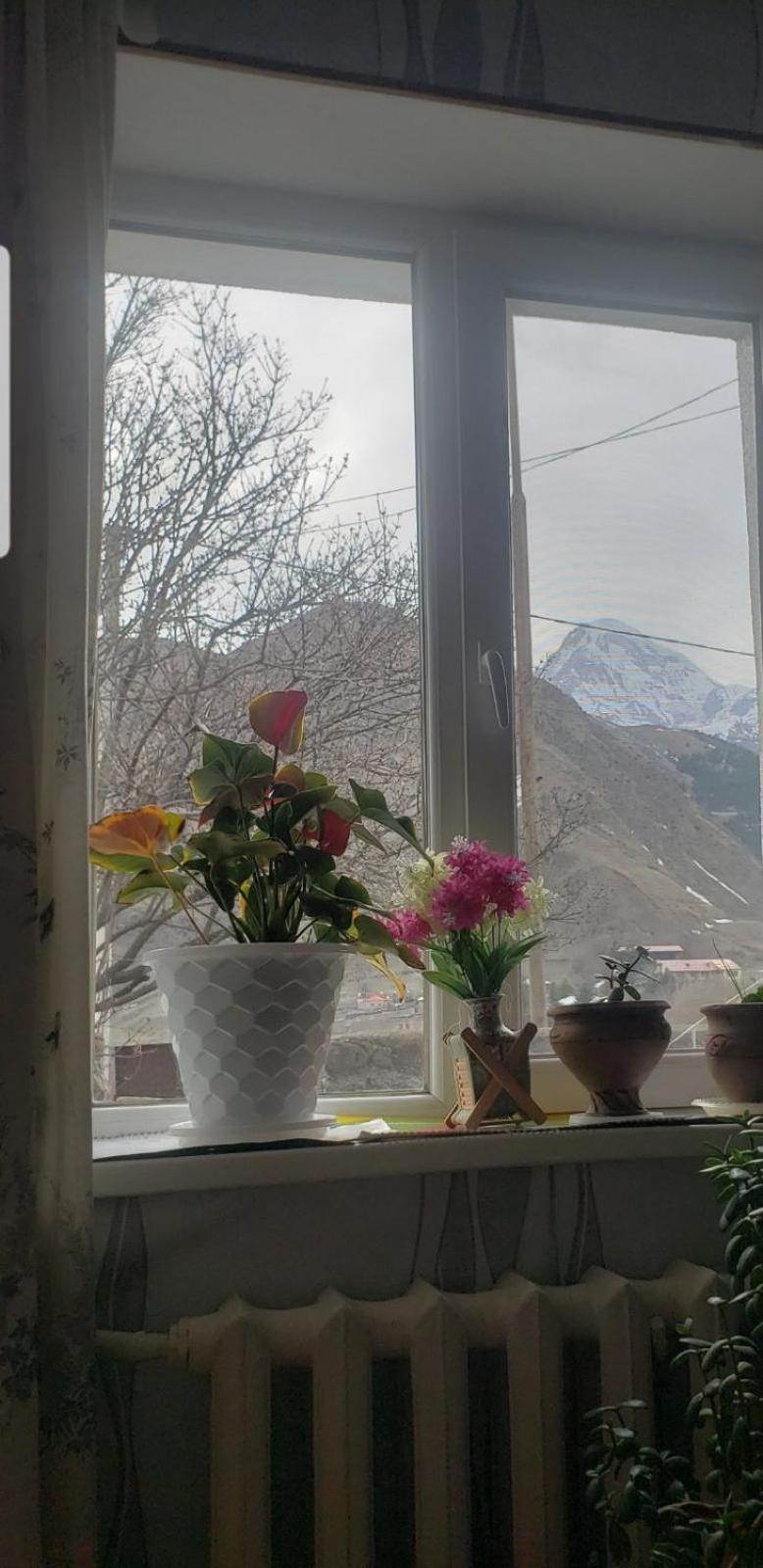 Guest House Dodo Kazbegi Room photo
