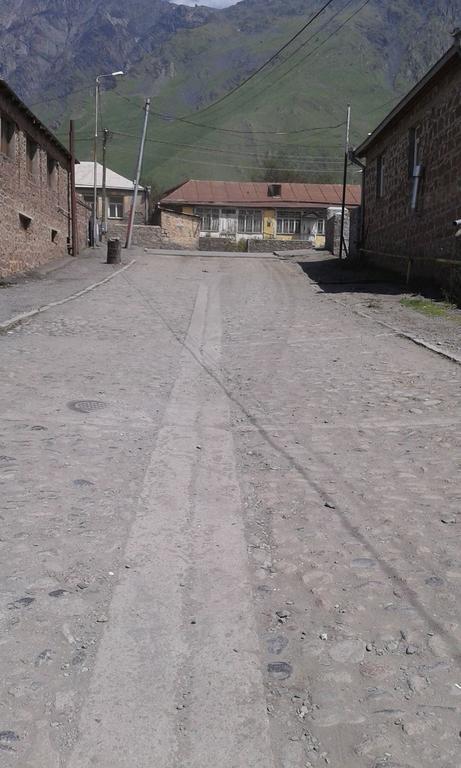 Guest House Dodo Kazbegi Exterior photo
